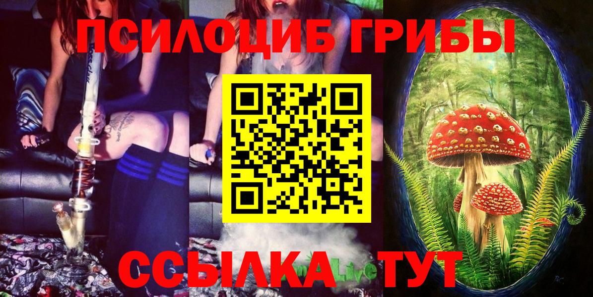 Псилоцибиновые грибы мицелий Медногорск
