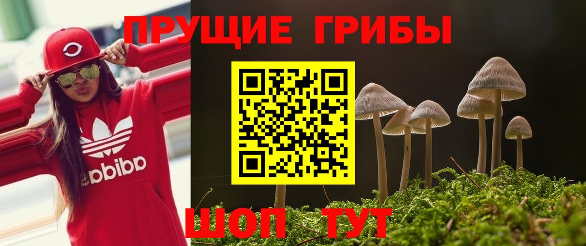Медногорск  Галлюциногенные грибы мухоморы  Вход с VPN 